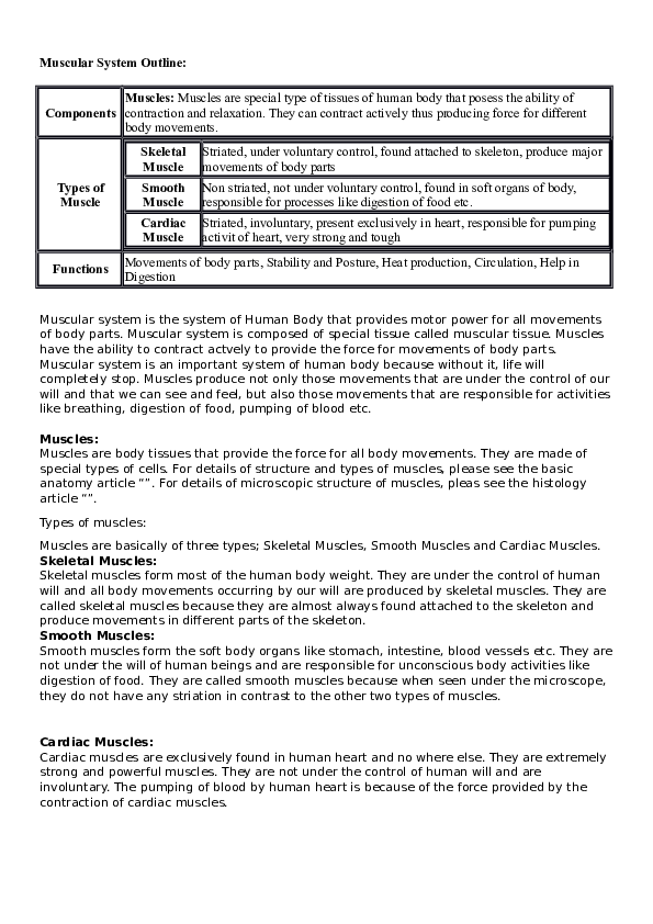 (DOC) Muscular System Outline