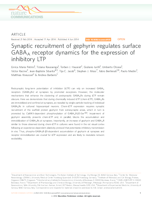 (PDF) Synaptic recruitment of gephyrin regulates surface GABAA receptor ...