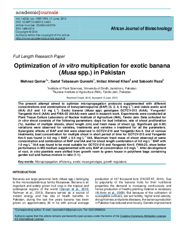 Musa khan essay 05 picture