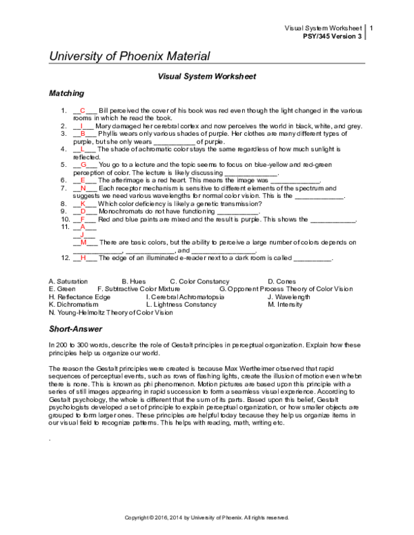 (DOC) Visual System Worksheet Matching