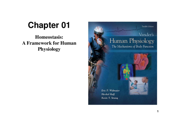 PDF) Homeostasis: A Framework for Human Physiology | ssangnom Jang -  Academia.edu