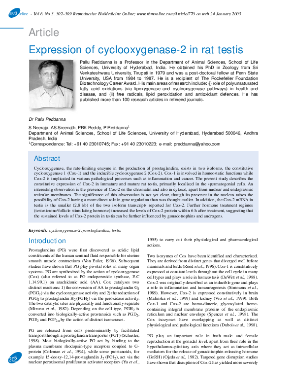 (PDF) Expression of cyclooxygenase-2 in rat testis