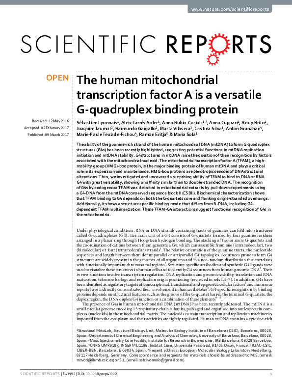 (PDF) The human mitochondrial transcription factor A is a versatile G ...