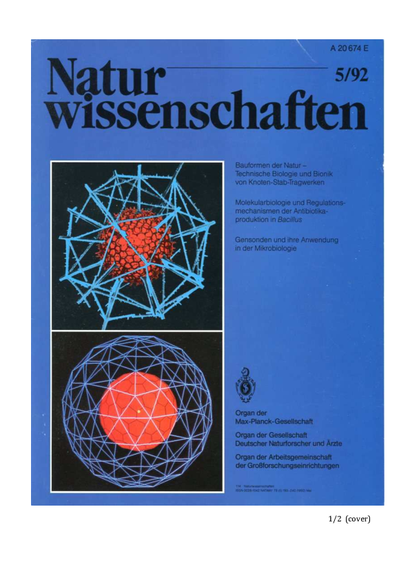 (PDF) Bauformen der Natur, Naturwissenschaften 5-92 (1992) Titelbild ...