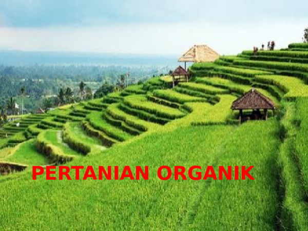 ppt-pertanian-organik-pptx-khoirul-halim-academia-edu