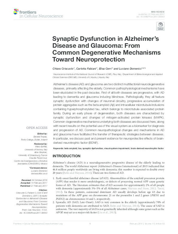 (PDF) Synaptic Dysfunction in Alzheimer's Disease and Glaucoma: From ...