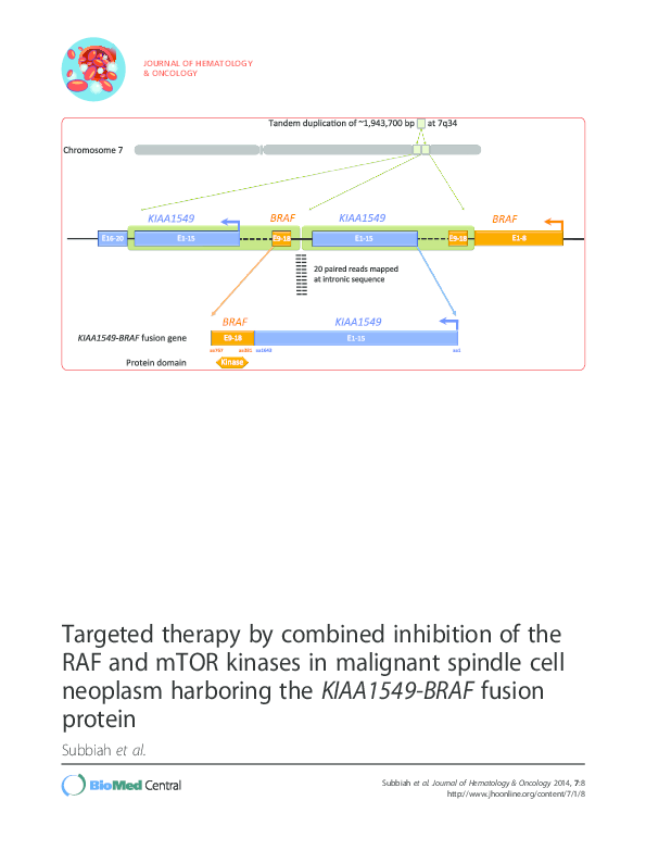 (PDF) Targeted therapy by combined inhibition of the RAF and mTOR ...