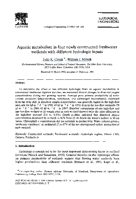 Essay by r cronk picture