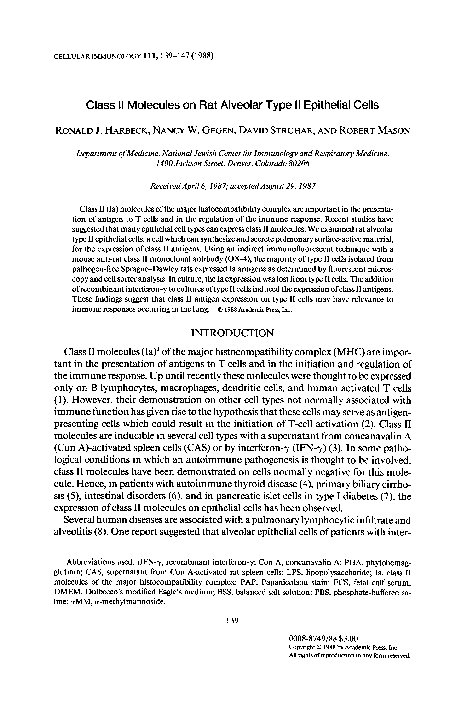 (PDF) Class II molecules on rat alveolar type II epithelial cells