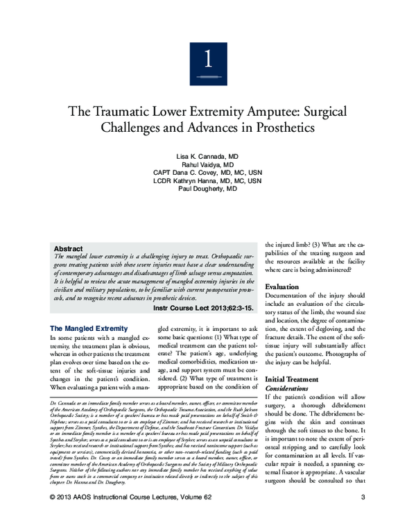 (PDF) The traumatic lower extremity amputee: surgical challenges and ...