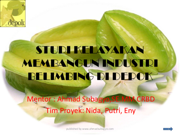 (PDF) STUDI KELAYAKAN MEMBANGUN INDUSTRI BELIMBING DI DEPOK