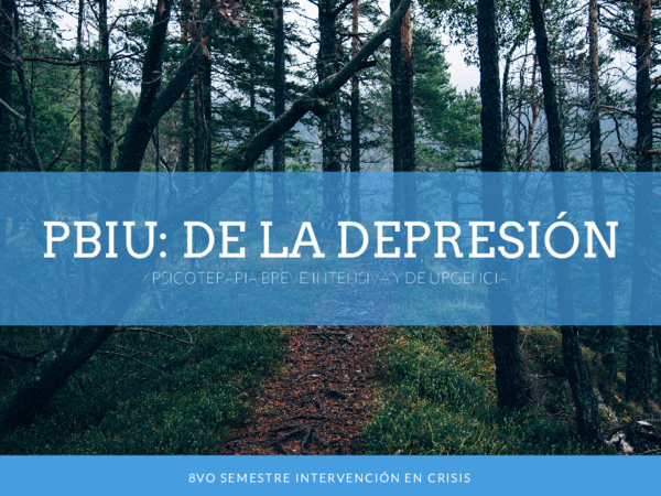(PDF) PBIU: DE LA DEPRESIÓN PSICOTERAPIA BREVE INTENSIVA Y DE URGENCIA