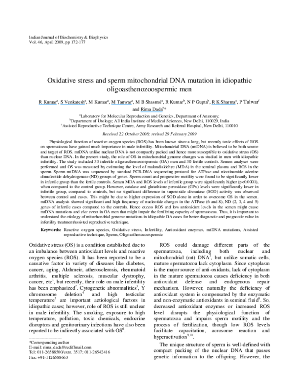 (PDF) Oxidative stress and sperm mitochondrial DNA mutation in ...