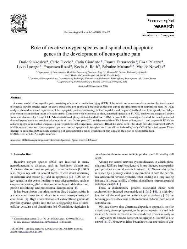 (PDF) Role of reactive oxygen species and spinal cord apoptotic genes ...