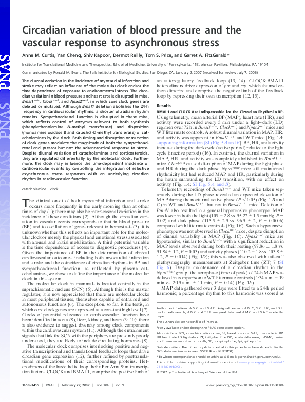 (PDF) Circadian variation of blood pressure and the vascular response ...