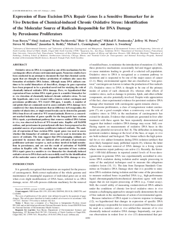 (PDF) Expression of Base Excision DNA Repair Genes Is a Sensitive ...