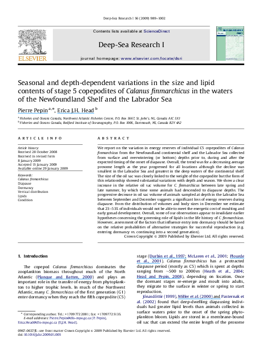 Mun library covid image