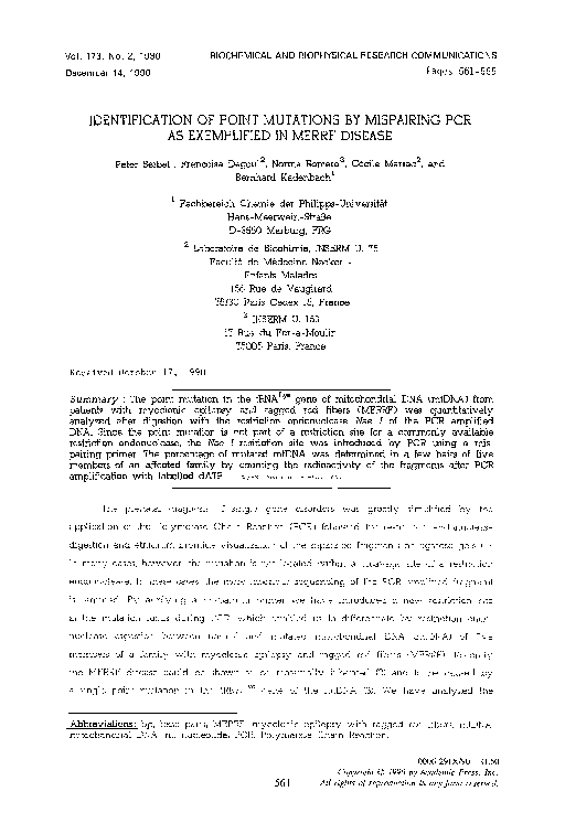 (PDF) Identification of point mutations by mispairing PCR as ...