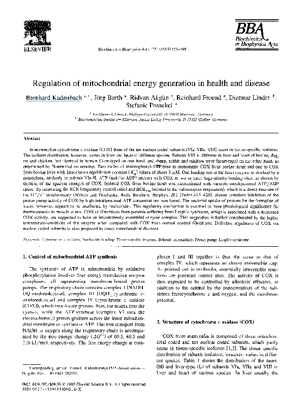 (PDF) Regulation of mitochondrial energy generation in health and disease