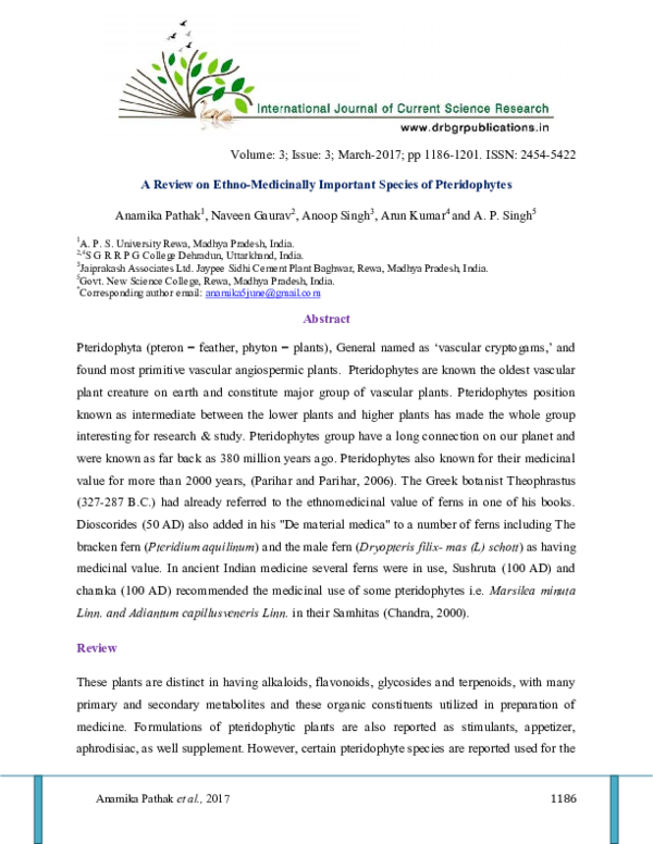 Essay on pteridophytes image