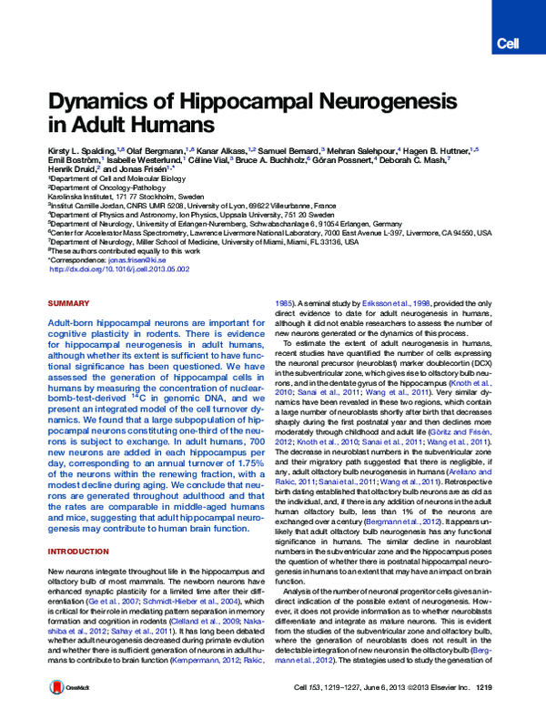 (PDF) Dynamics of Hippocampal Neurogenesis in Adult Humans