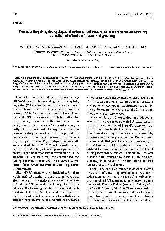 (PDF) The rotating 6-hydroxydopamine-lesioned mouse as a model for ...