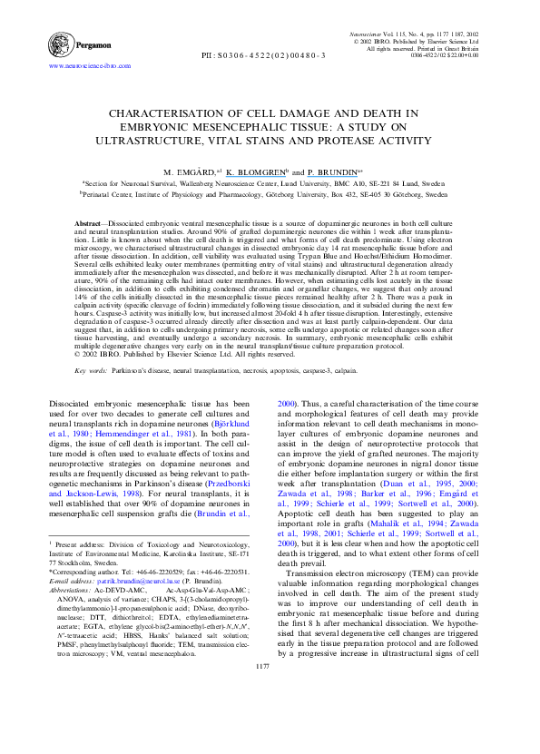 (PDF) Characterisation of cell damage and death in embryonic ...