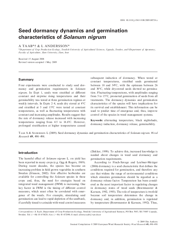Solanum nigrum common name in india picture