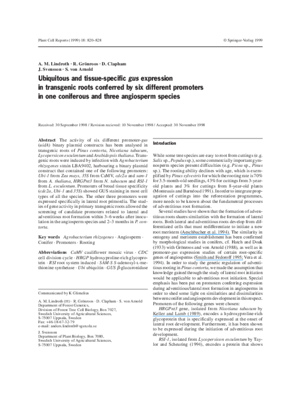 (PDF) Ubiquitous and tissue-specific gus expression in transgenic roots ...