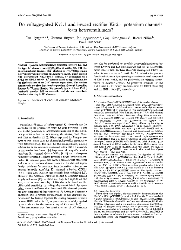 (PDF) Do voltage-gated Kv1.1 and inward rectifier Kir2.1 potassium ...