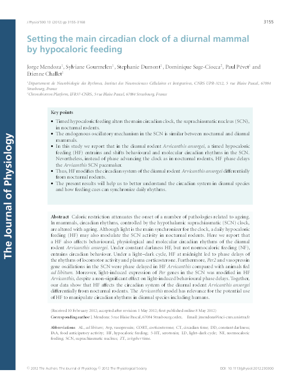 (PDF) Setting the main circadian clock of a diurnal mammal by ...