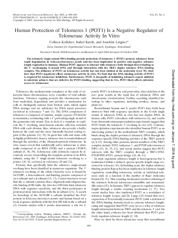(PDF) Human Protection of Telomeres 1 (POT1) Is a Negative Regulator of ...