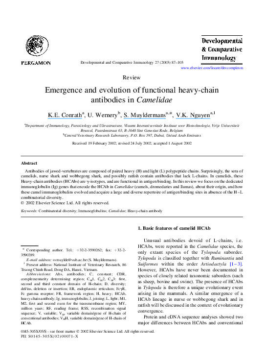 Short essay on immune system picture