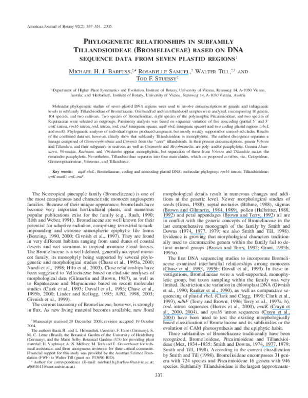 (PDF) Phylogenetic relationships in subfamily Tillandsioideae ...