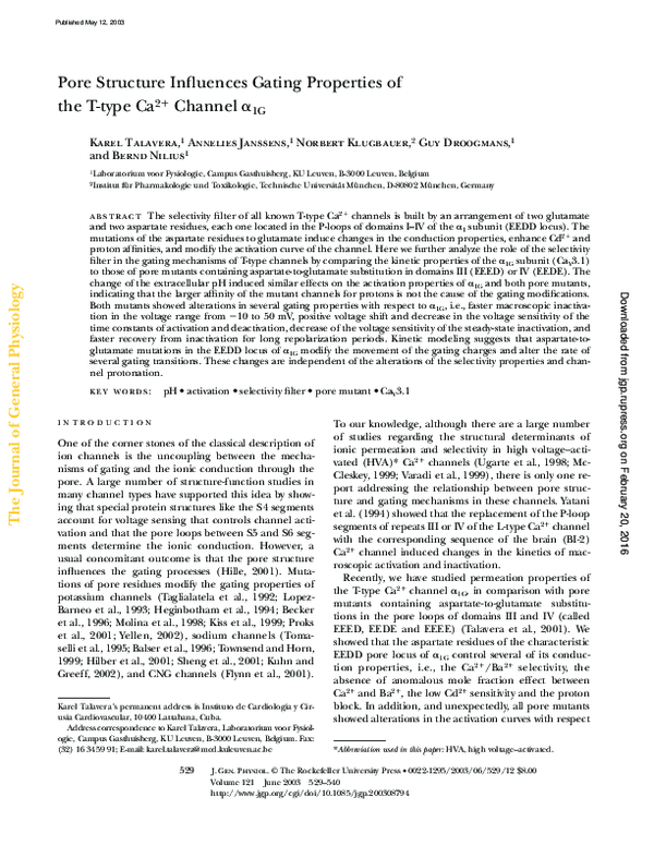 (PDF) Pore Structure Influences Gating Properties of the T-type Ca2 ...