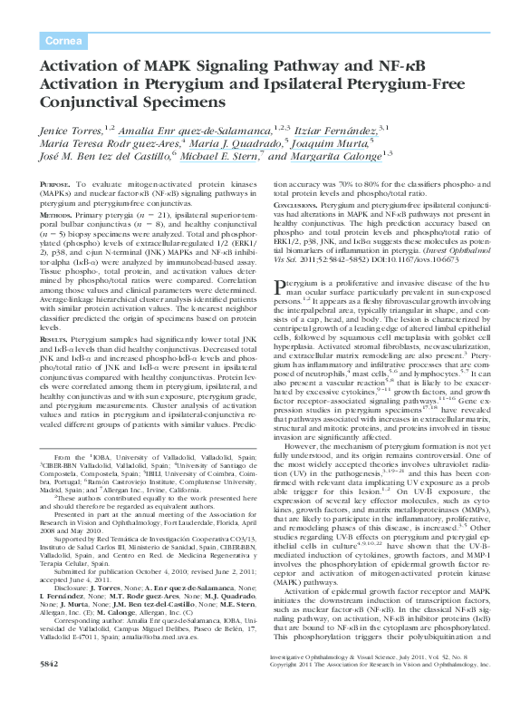 (PDF) Activation of MAPK Signaling Pathway and NF- B Activation in ...