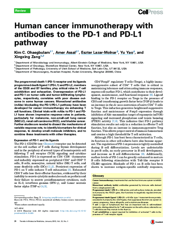 (PDF) Human cancer immunotherapy with antibodies to the PD-1 and PD-L1 ...