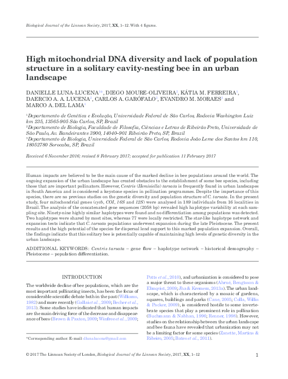 (PDF) High mitochondrial DNA diversity and lack of population structure ...