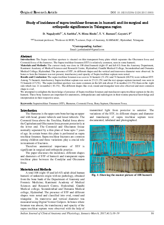 Essay on telangana in english picture