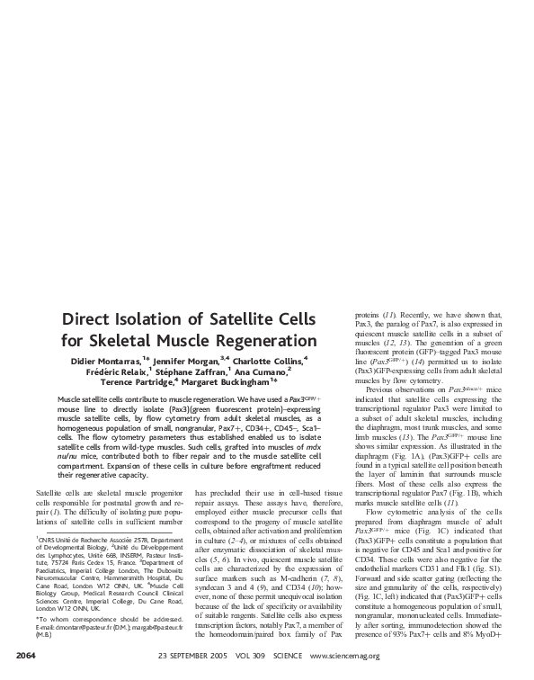 (PDF) Direct Isolation of Satellite Cells for Skeletal Muscle Regeneration