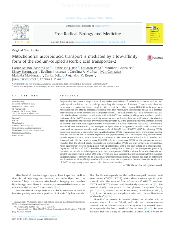 (PDF) Mitochondrial ascorbic acid transport is mediated by a low ...