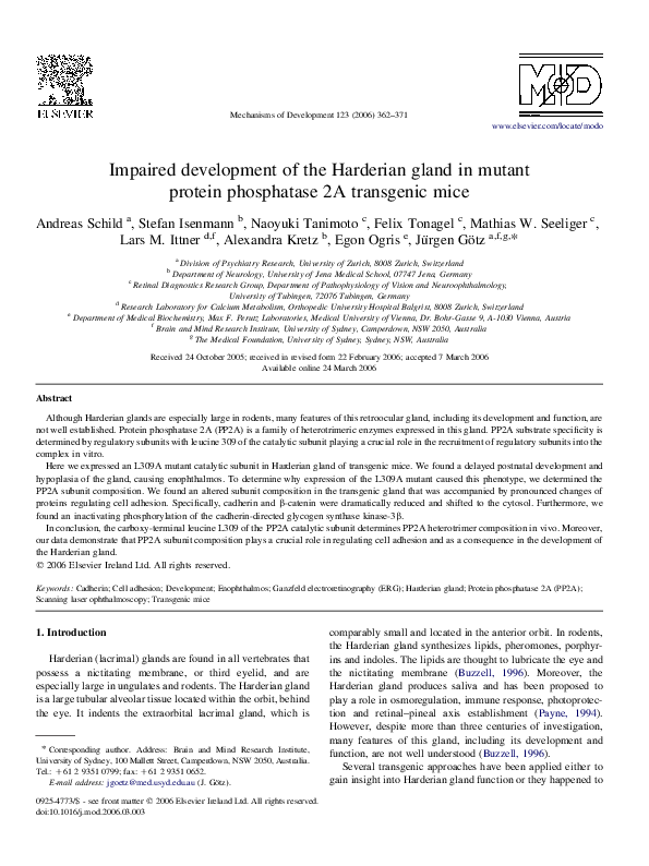 (PDF) Impaired development of the Harderian gland in mutant protein ...