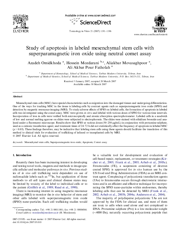 (PDF) Study of apoptosis in labeled mesenchymal stem cells with ...