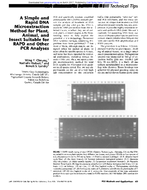 (PDF) EEIIIIIII Technical Tips A Simple and Rapid DNA Microextraction ...