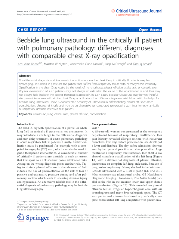 (PDF) Bedside lung ultrasound in the critically ill patient with ...