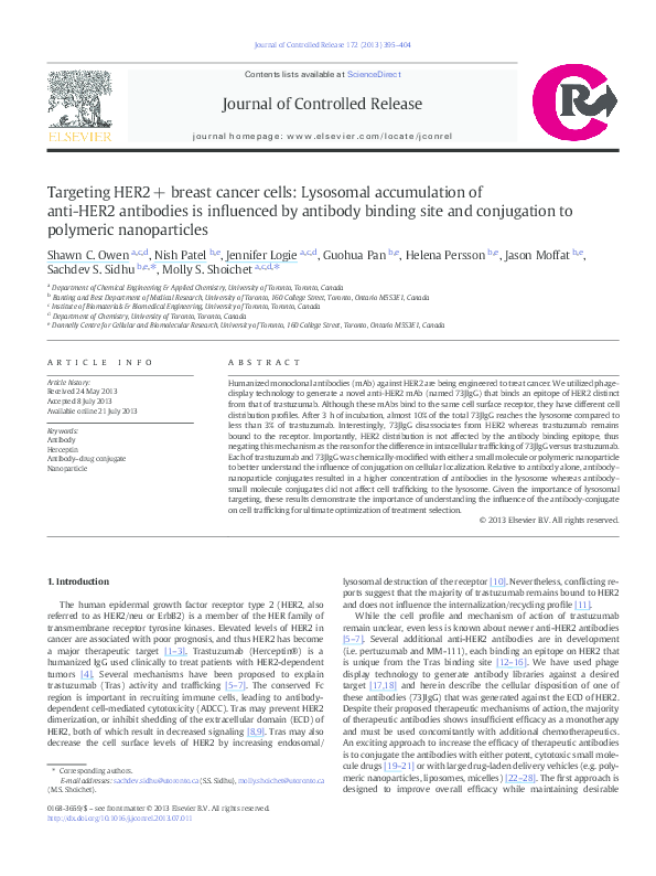 (PDF) Targeting HER2+ breast cancer cells: Lysosomal accumulation of ...