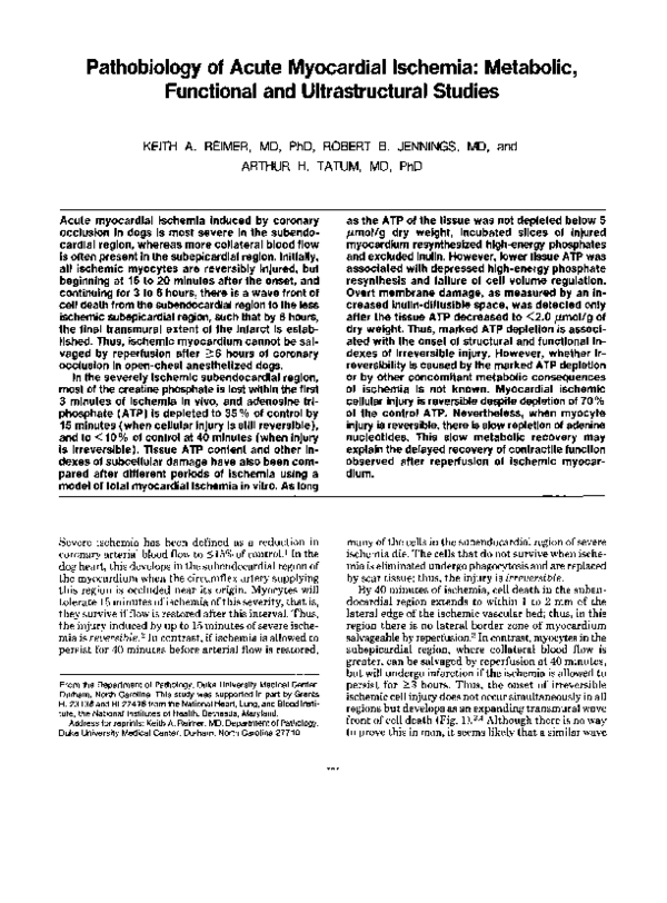 (PDF) Pathobiology of acute myocardial ischemia: Metabolic, functional ...