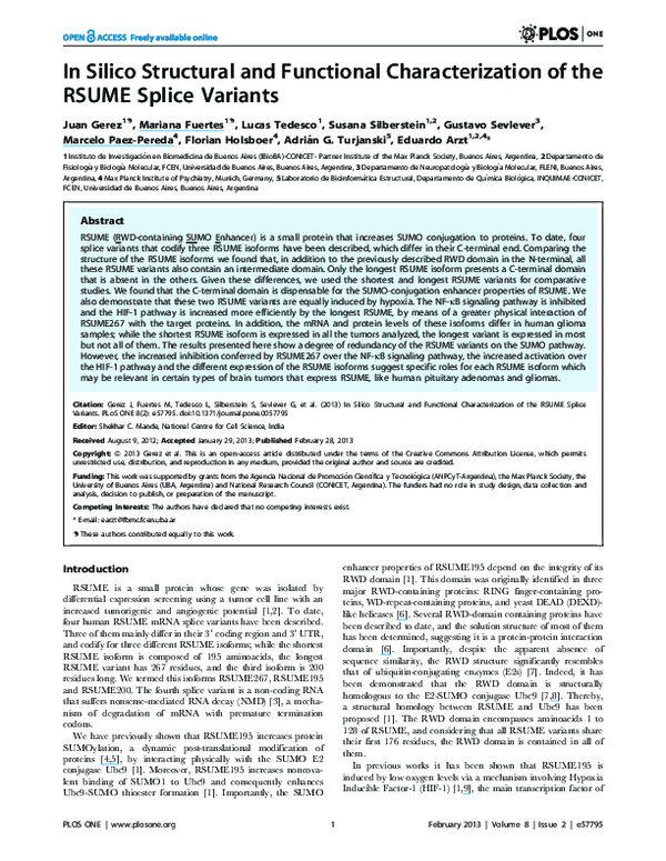 (PDF) In Silico Structural and Functional Characterization of the RSUME ...