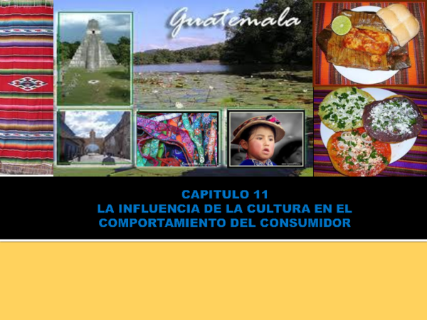 (PDF) CAPITULO 11 LA INFLUENCIA DE LA CULTURA EN EL COMPORTAMIENTO DEL