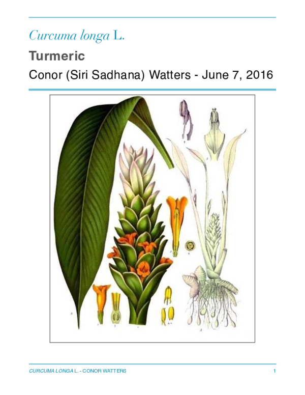 (PDF) Turmeric Monograph CW Conor Watters Academia.edu